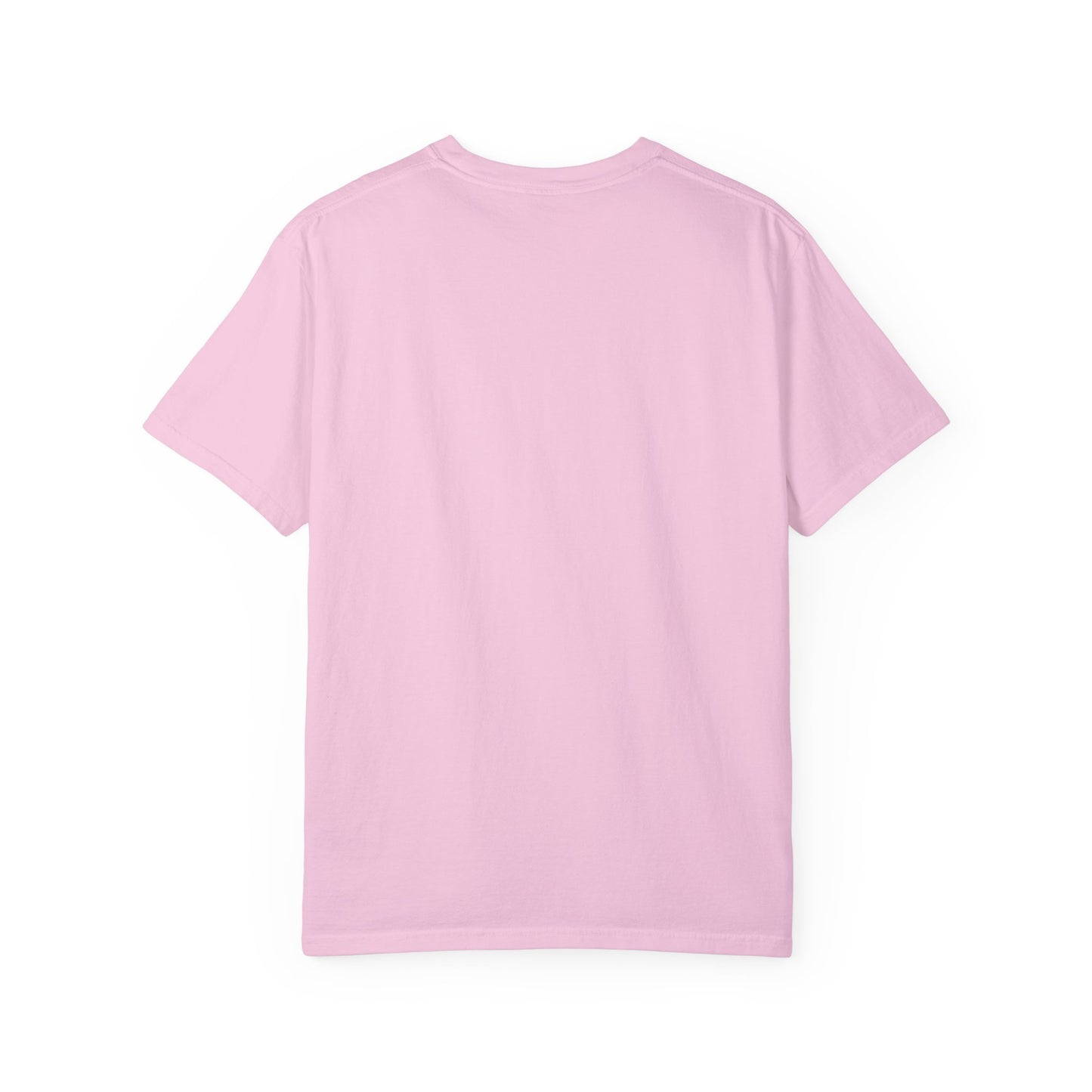 OTTB Lives Matter Rectangular Logo Garment-Dyed T-shirt