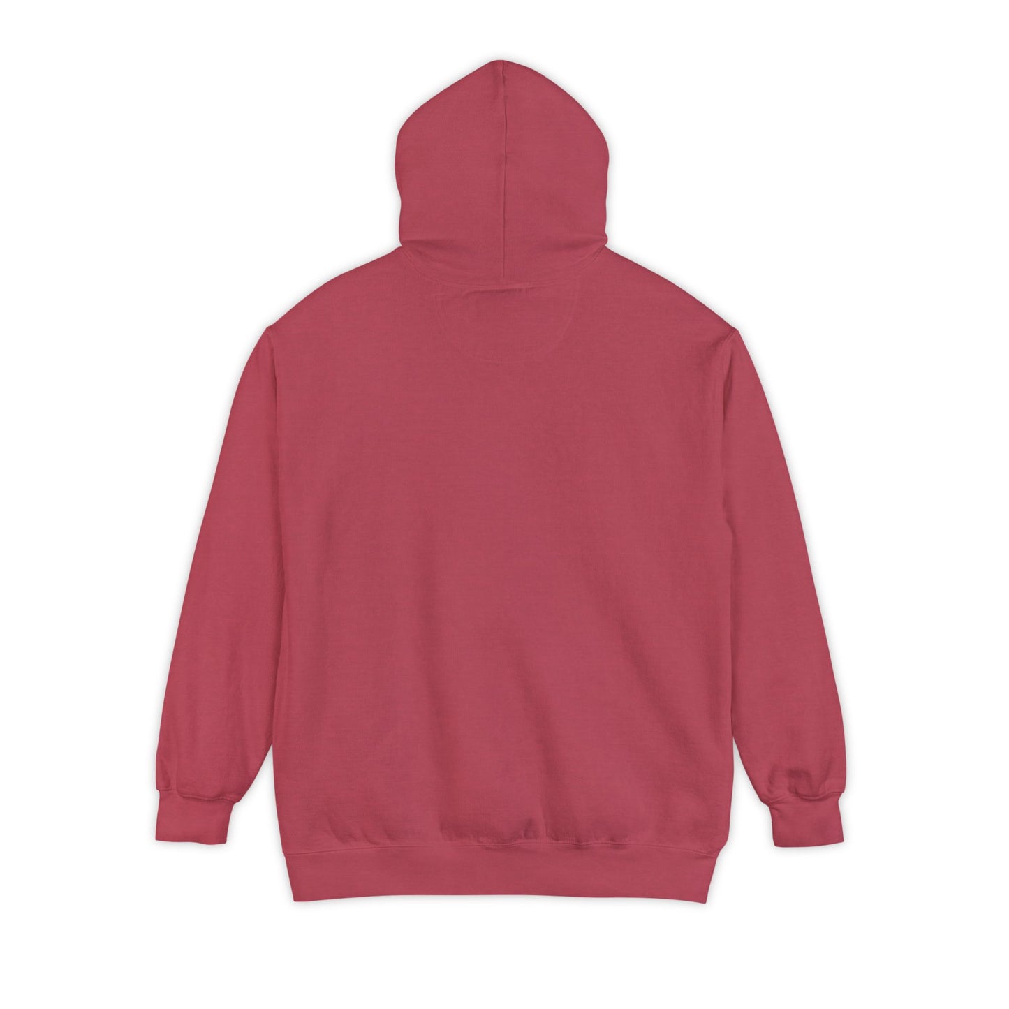 OTTB Lives Matter Rectangular Logo Unisex Garment-Dyed Hoodie